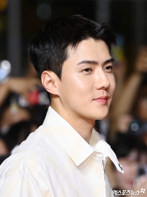 sehunatmoon_28829.jpg