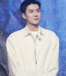 sehunatmoon_281729.jpg