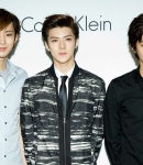 calvin_exo_28229.jpg