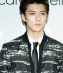 calvin_exo_28929.jpg
