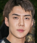 Filename=sehunLV18_282029.jpg
Filesize=1118KiB
Dimensions=1363x2048
Date added=Dec 31, 2023 sehunLV18_282029.jpg