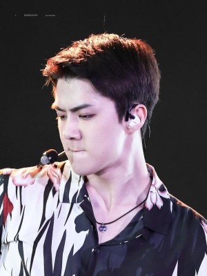 Click to view full size image
==============
lottesehun_282029.jpg lottesehun_282029.jpg