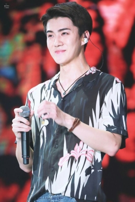 lottesehun_283529.jpg