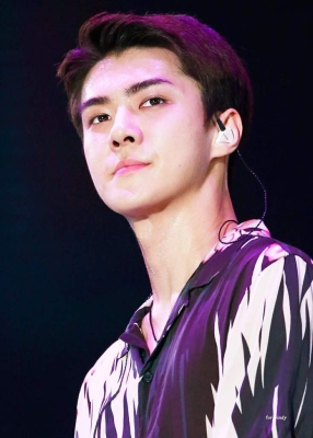lottesehun_283829.jpg