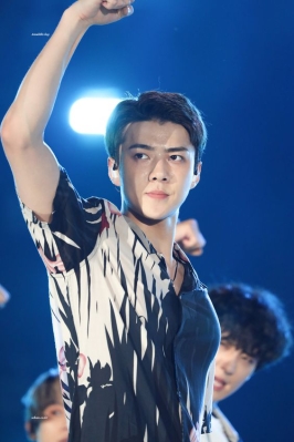 lottesehun_284129.jpg