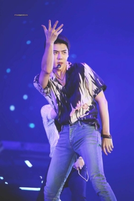 lottesehun_284529.jpg