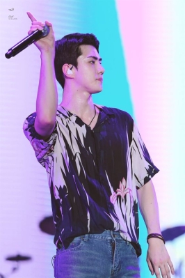 lottesehun_284929.jpg