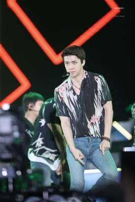 lottesehun_28929.jpg