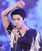 lottesehun_282929.jpg
